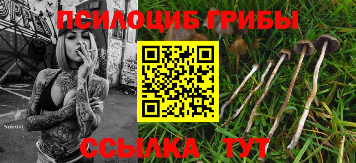 Азнакаево  купить наркотики цена  Вход с VPN  Галлюциногенные грибы ЛСД 