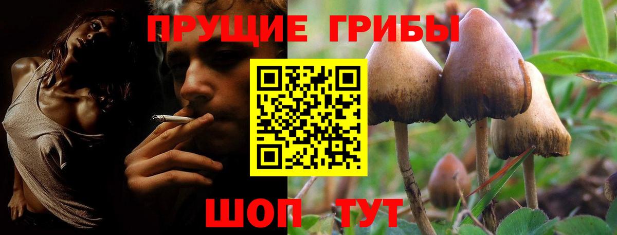 Галлюциногенные грибы ЛСД Азнакаево